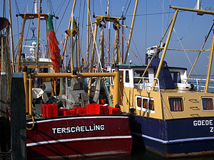 Terschelling-Fischer